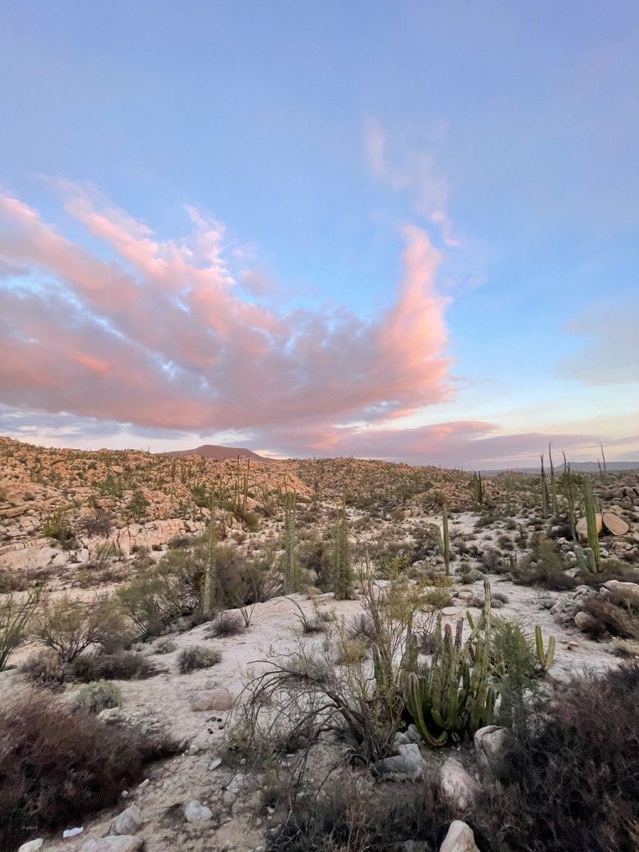 Escenario natural en la baja con atardecer de fondo en Mexico.